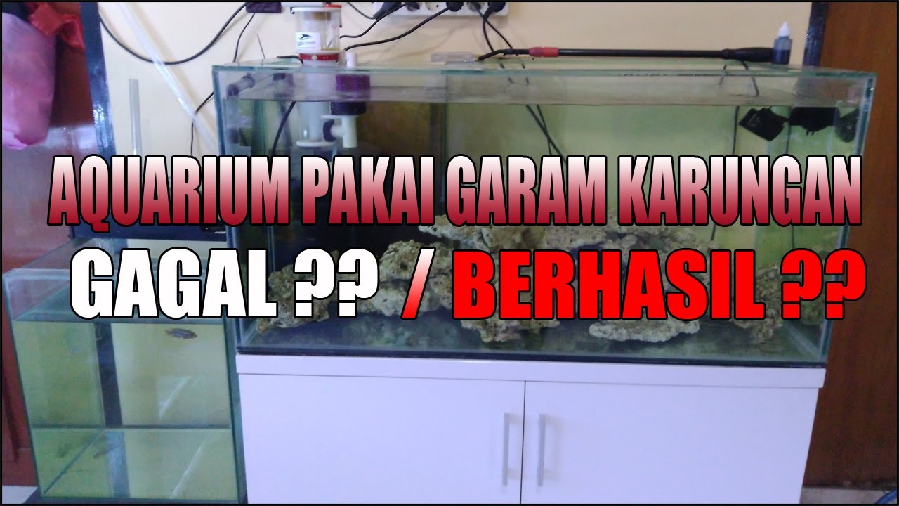 UPDATE AQUARIUM LAUT MENGGUNAKAN GARAK KROSOK ( KARUNGAN )