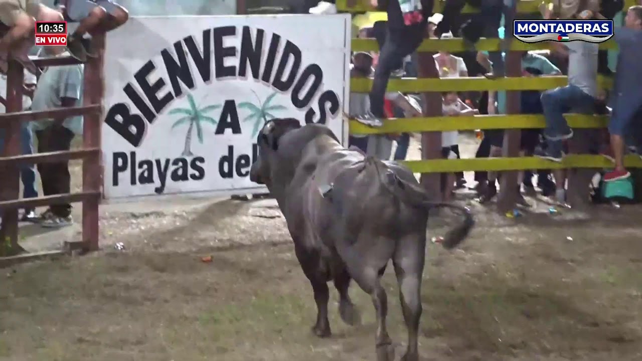 Montaderas Trivisión