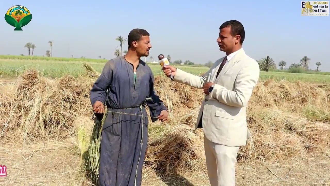 الأول مرة زراعة الكتان في الصعيد