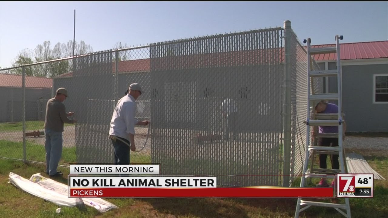 No Kill Animal Shelter