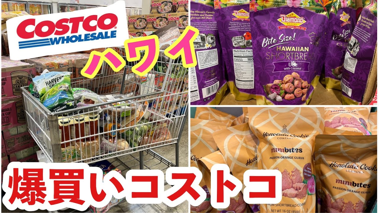 【久しぶりのコストコで爆買い】一人でゆっくりお買い物の様子