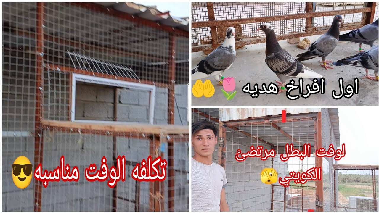 لوفت الاخو مرتضئ الكويتي لوفت مناسب عله كد المكانيه اول فرخات هديتله 🫣😎