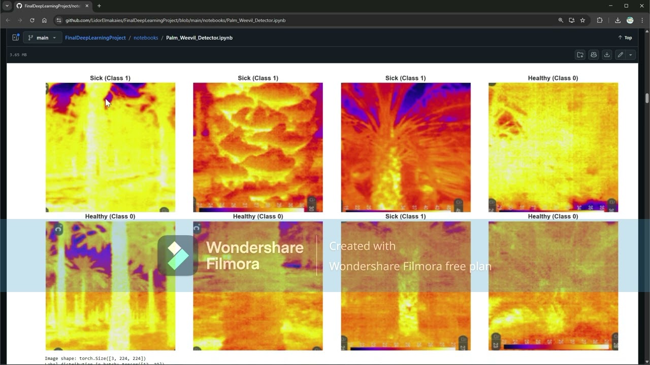 Deep Learning Red Palm Weevil Detection | Thermal Image Classifier (ResNet50 Backbone)