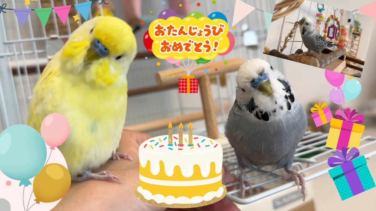 サプライズでアスレチックを新しくした結果…【アスレチックの作り方】