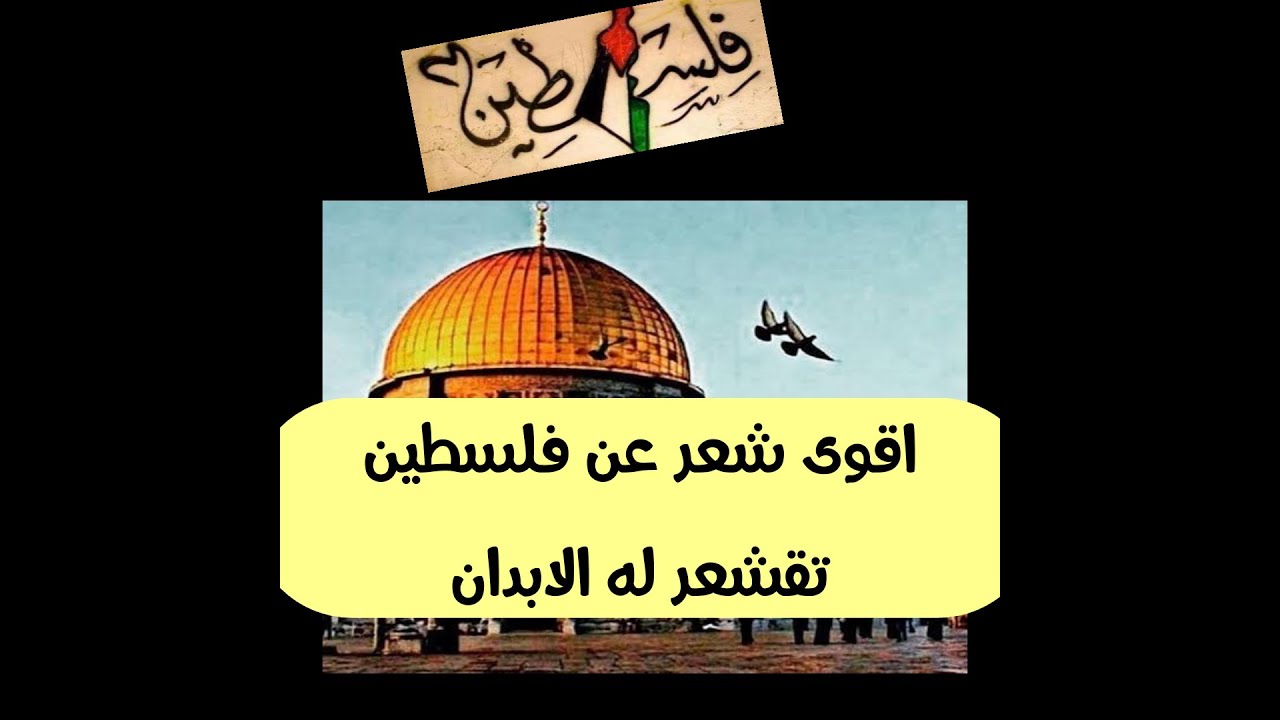 اقوى شعر عن فلسطين تقشعر له الابدان 