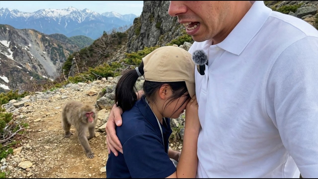 Yuzu entra en pánico en la montaña de los monos (Nagano Vlog)