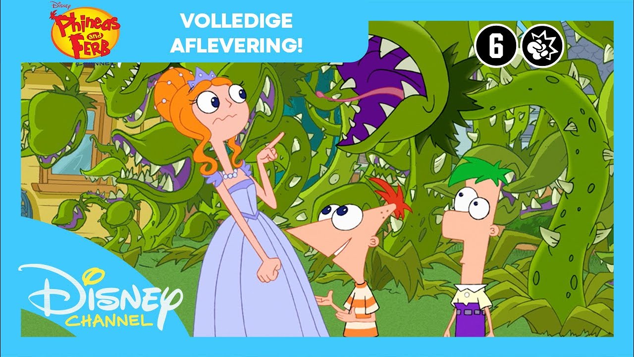 Phineas & Ferb | Candace's Grote Dag | Volledige Aflevering | Disney Channel België-Nederland