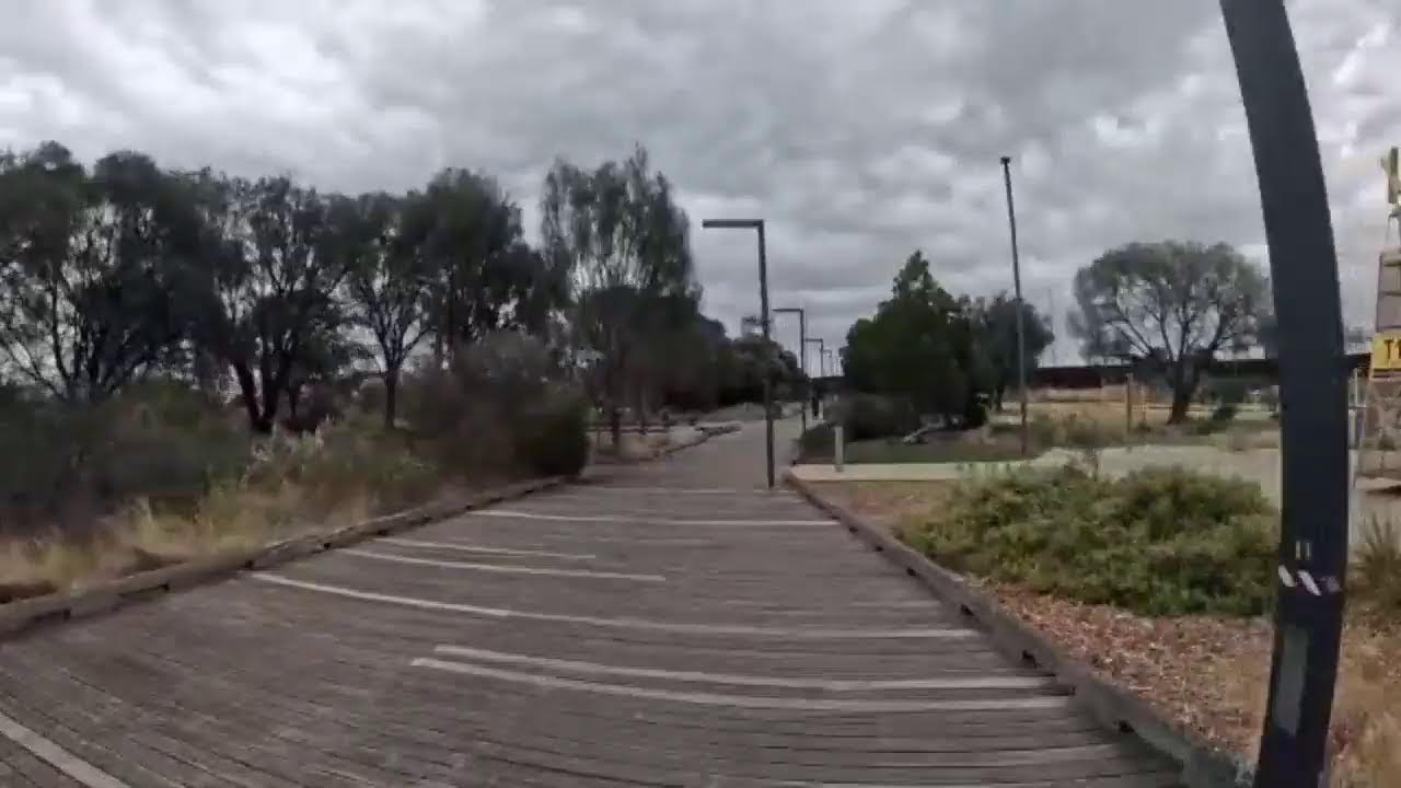 Let's Go Ride a Bike - Live