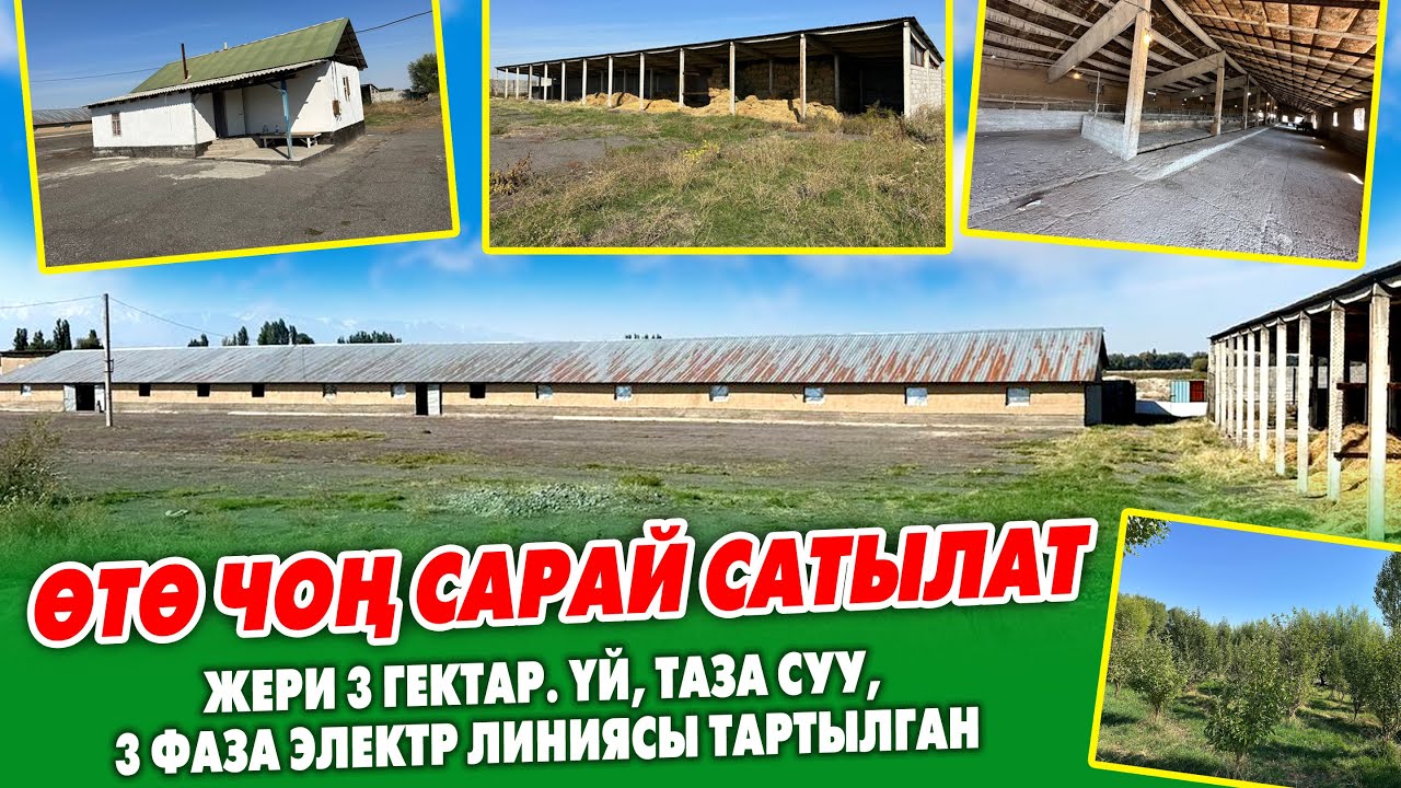 3 гектар ЖЕРИ менен чоң САРАЙ сатылат ~ 300 бука, 7 аткана, 20 миң пресске чѳпкана, 2 үй, багы менен