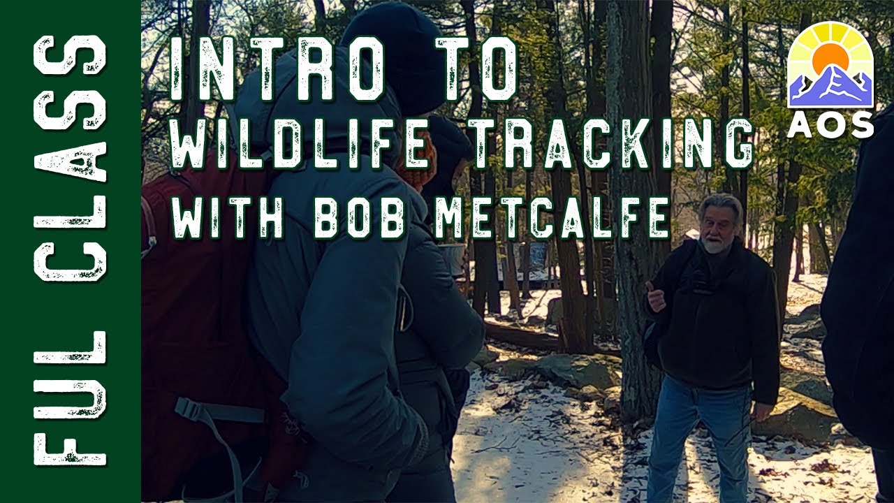 Full Class Introduction to Wildlife tracking