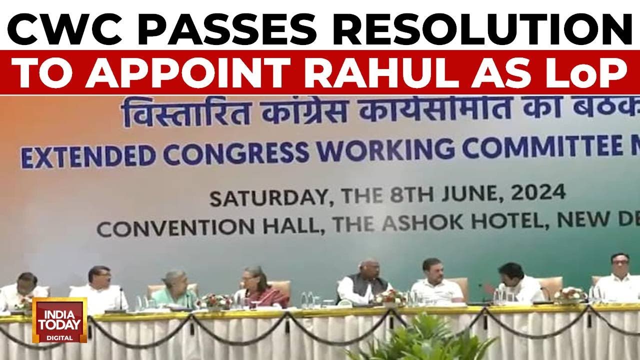 Congress Passes Resolution To Make Rahul Gandhi Leader Of Opposition In Lok Sabha