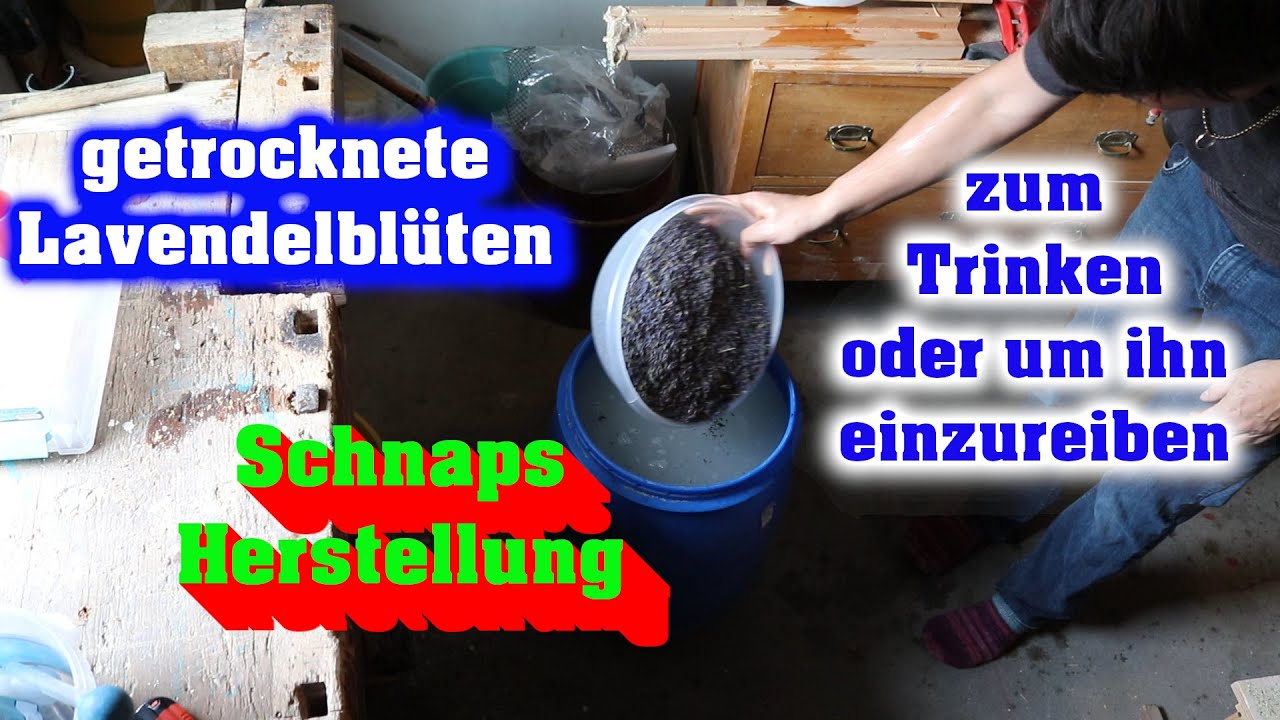 Lavendelschnaps selber vergoren lassen