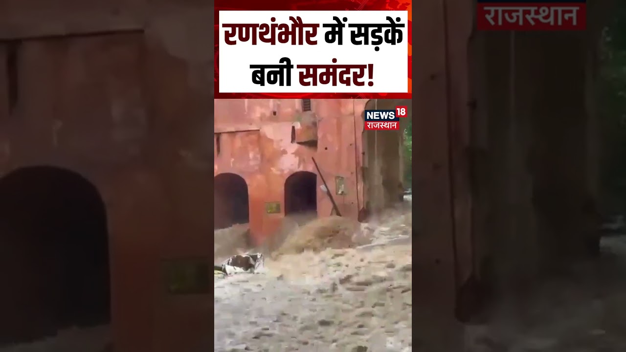 Weather Update Today:बारिश के बाद रणथंभौर की तस्वीरेंचौंकाएंगी| Sawai Madhopur |Heavy Rain|IMD Alert