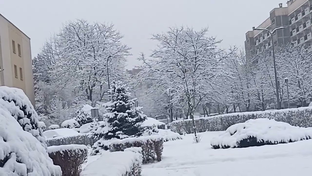 Зимова казка🌨️❄️❄️❄️