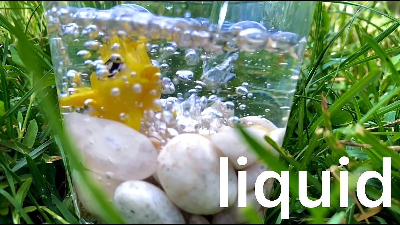 Kids learn about Water | Science for children