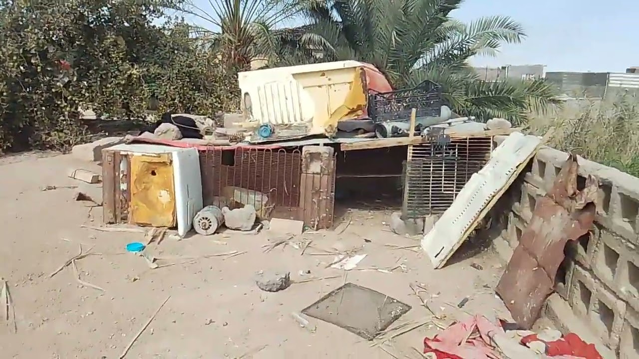 ١ مارس ٢٠٢٦