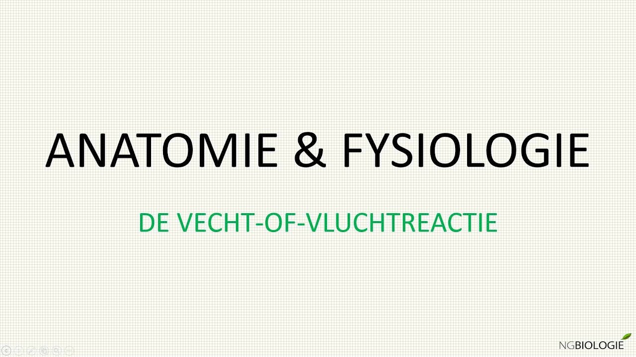 De vecht-of-vluchtreactie