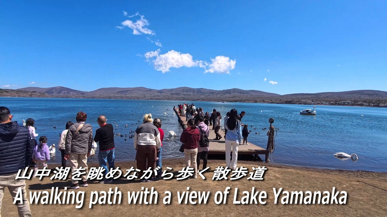 Explore the crystal clear waters of Lake Yamanaka at the foot of Mount Fuji