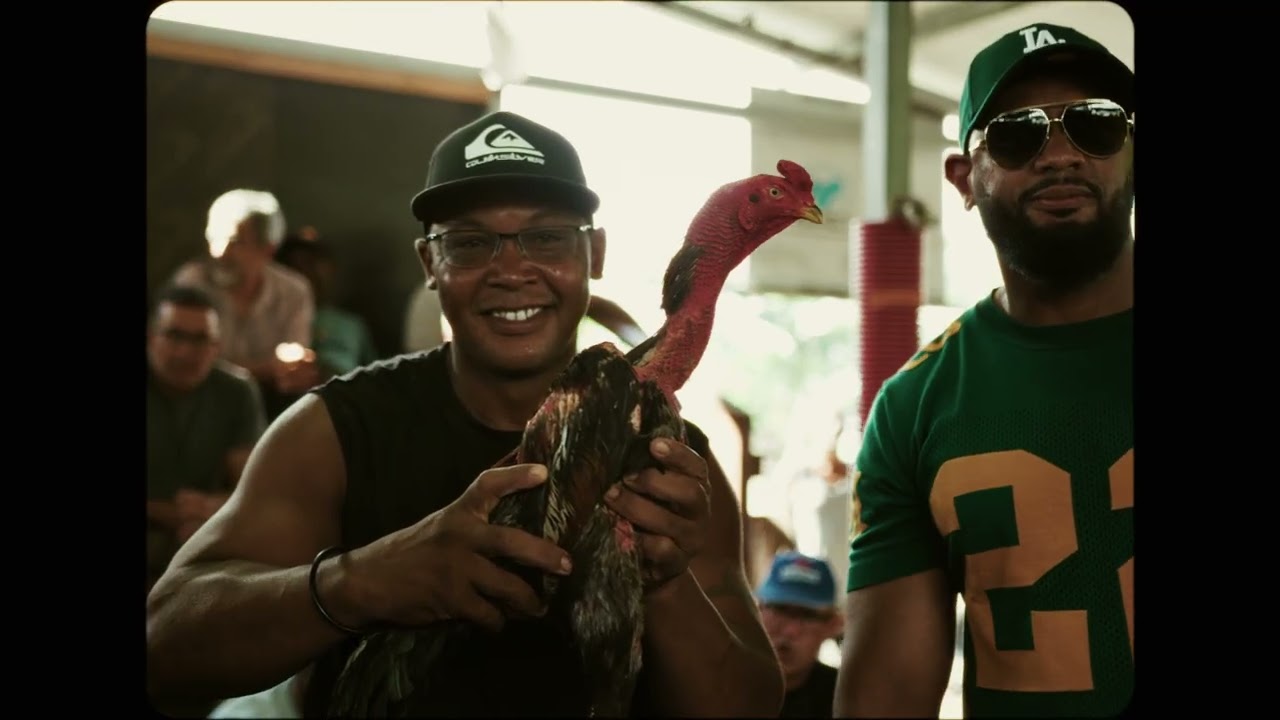 Melo vybz x Vynketi - jeness vagabond (remix clip officiel)