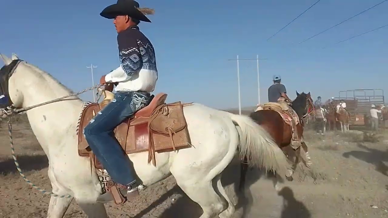 La chiva en Positos. Saludos...