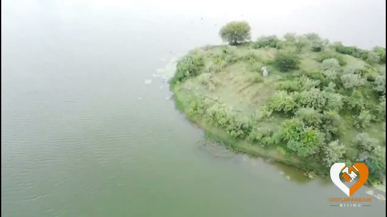 Chitlapakkam Lake 2023 with fresh rain water