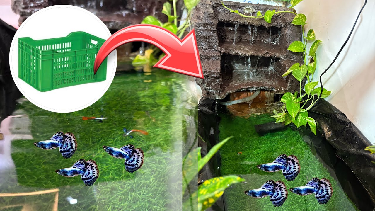 Turning Waste Material into A Beautiful Fish Pond With Waterfall 😍