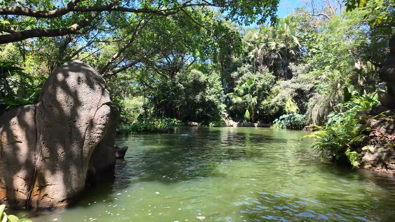 Hong Kong Disneyland | Jungle River Cruise