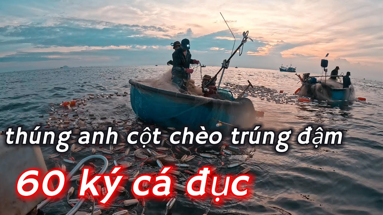 ngư dân biển Đồng Đền trúng cá đục//60ky// cách đánh bắt cá đục đen