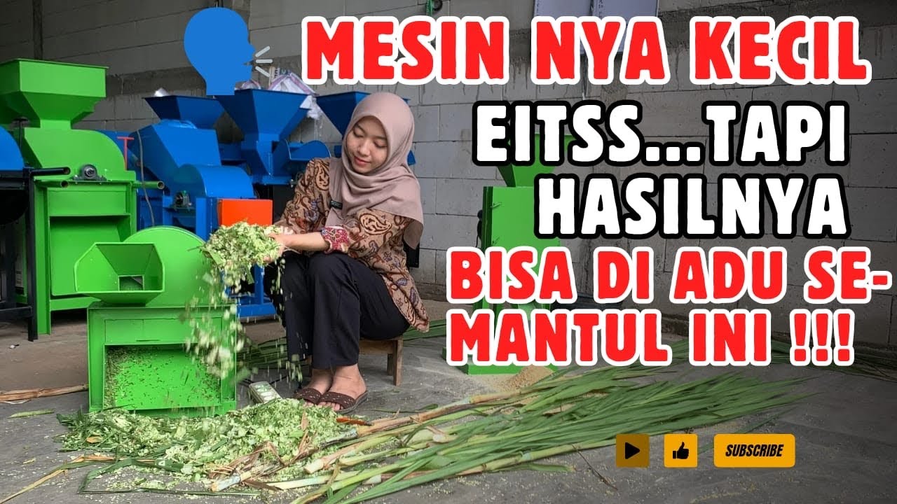 MULAI DARI PETERNAK UNGGAS SAMPAI KAMBING BISA PAKAI MESIN INI !! CACAH RUMPUT #mesincacahrumput