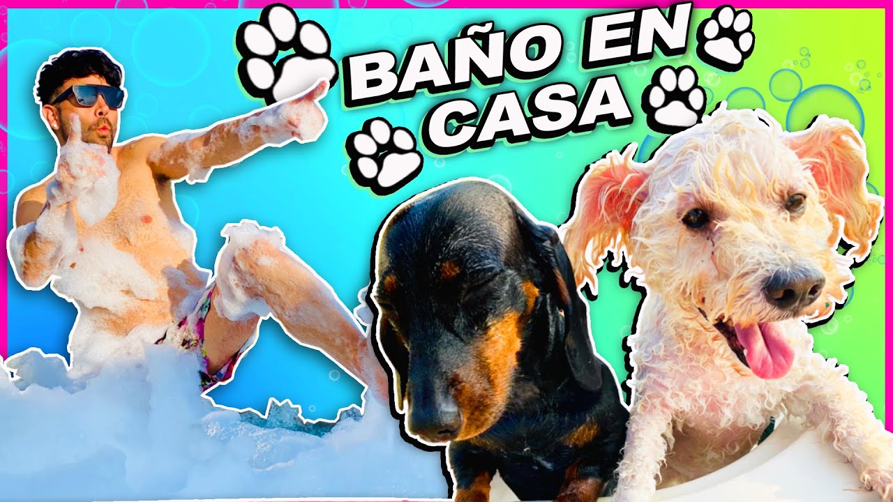 BAÑAMOS A NUESTRAS MASCOTAS EN EL JACUZZI 🐶