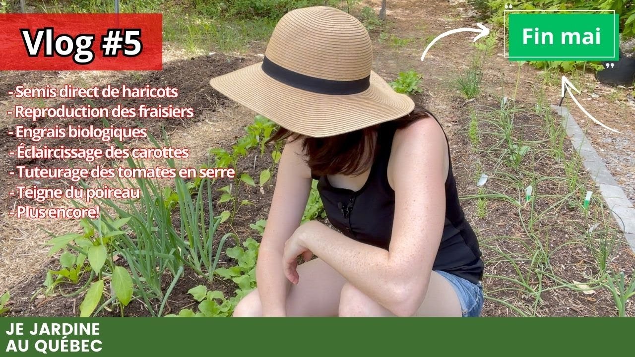 VLOG #5: Évolution du POTAGER et de la SERRE + tuteurage tomates