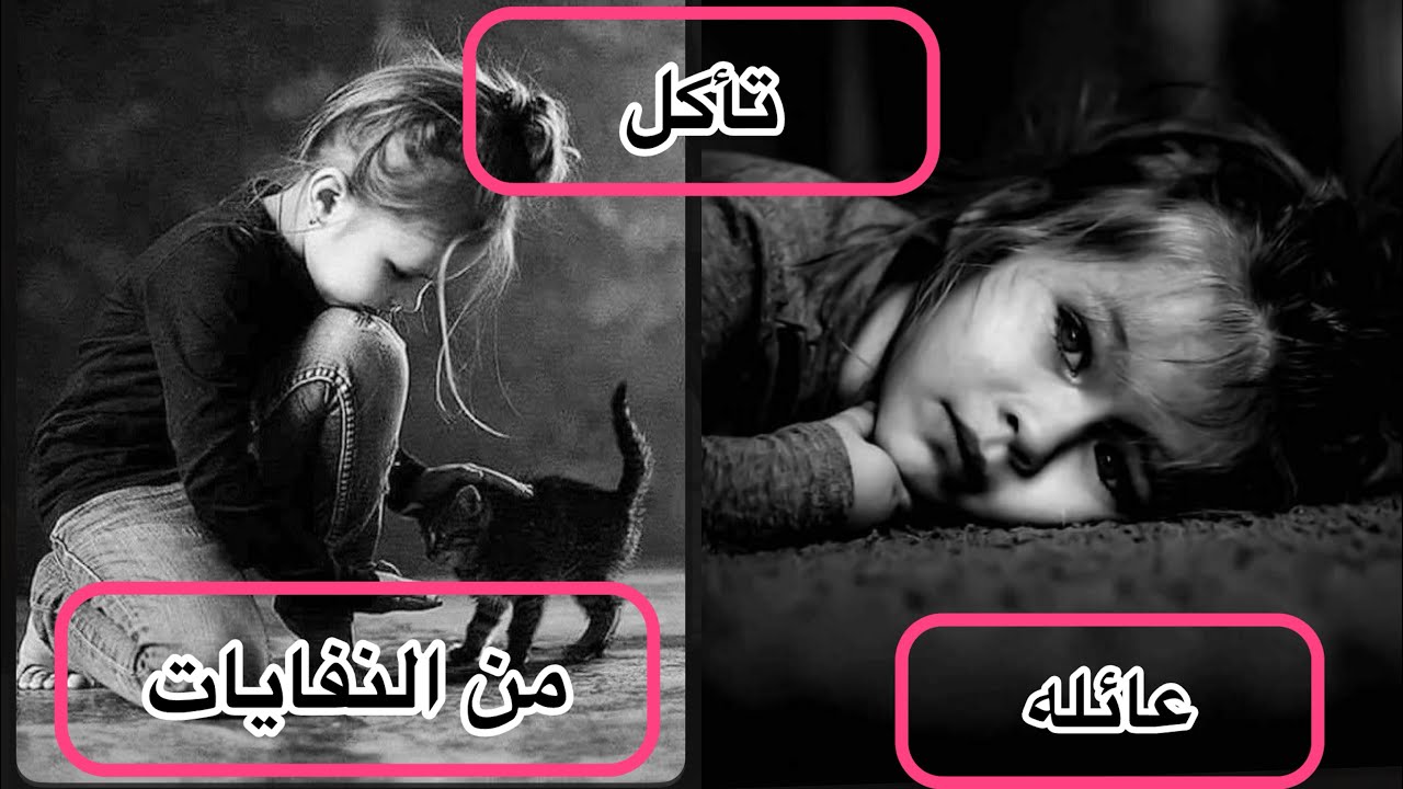 عائله تأكل نفايات المطاعم في اغنى بلد في العالم💔شنو الي صار