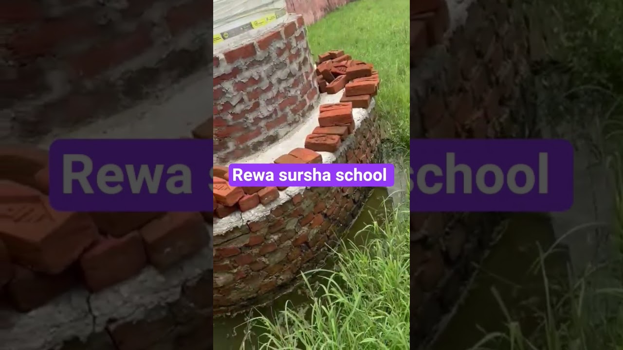 rewa ।news।rewa sursa school #News #india #mp #mpnews #rewa