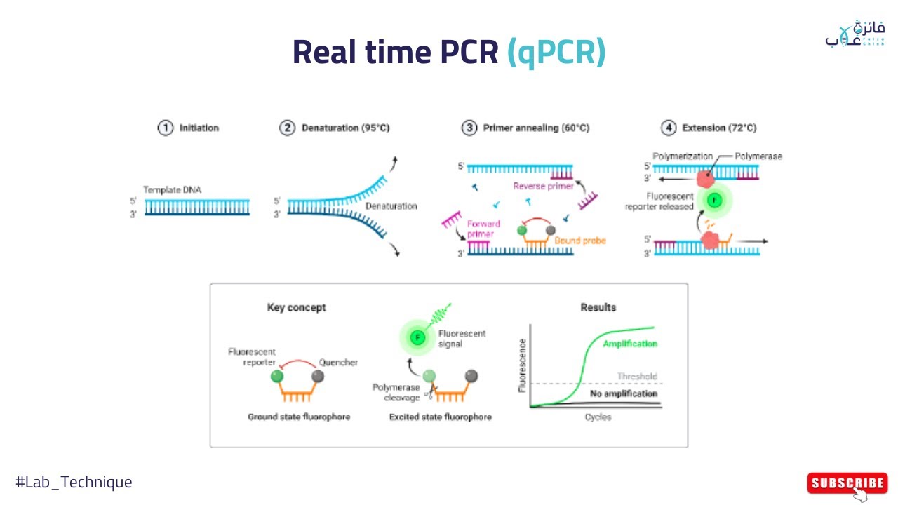 Real time PCR I Quantitative PCR I RT-PCR or qPCR