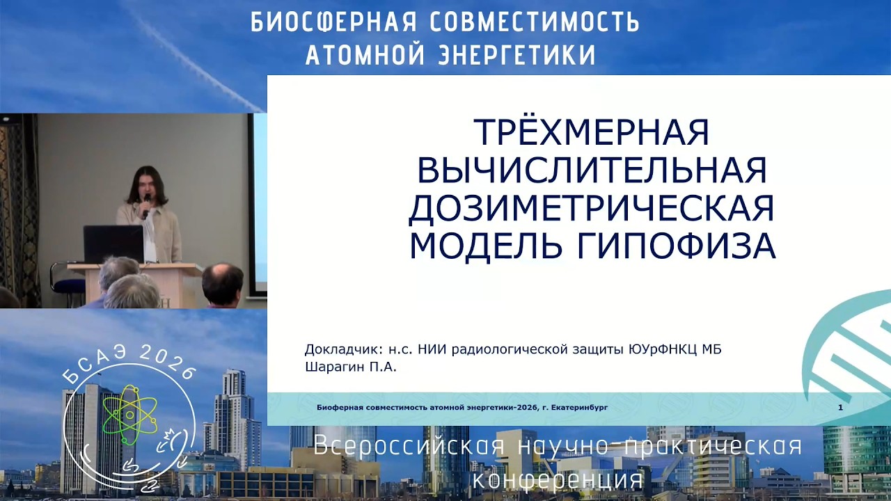 Трёхмерная вычислительная дозиметрическая модель гипофиза