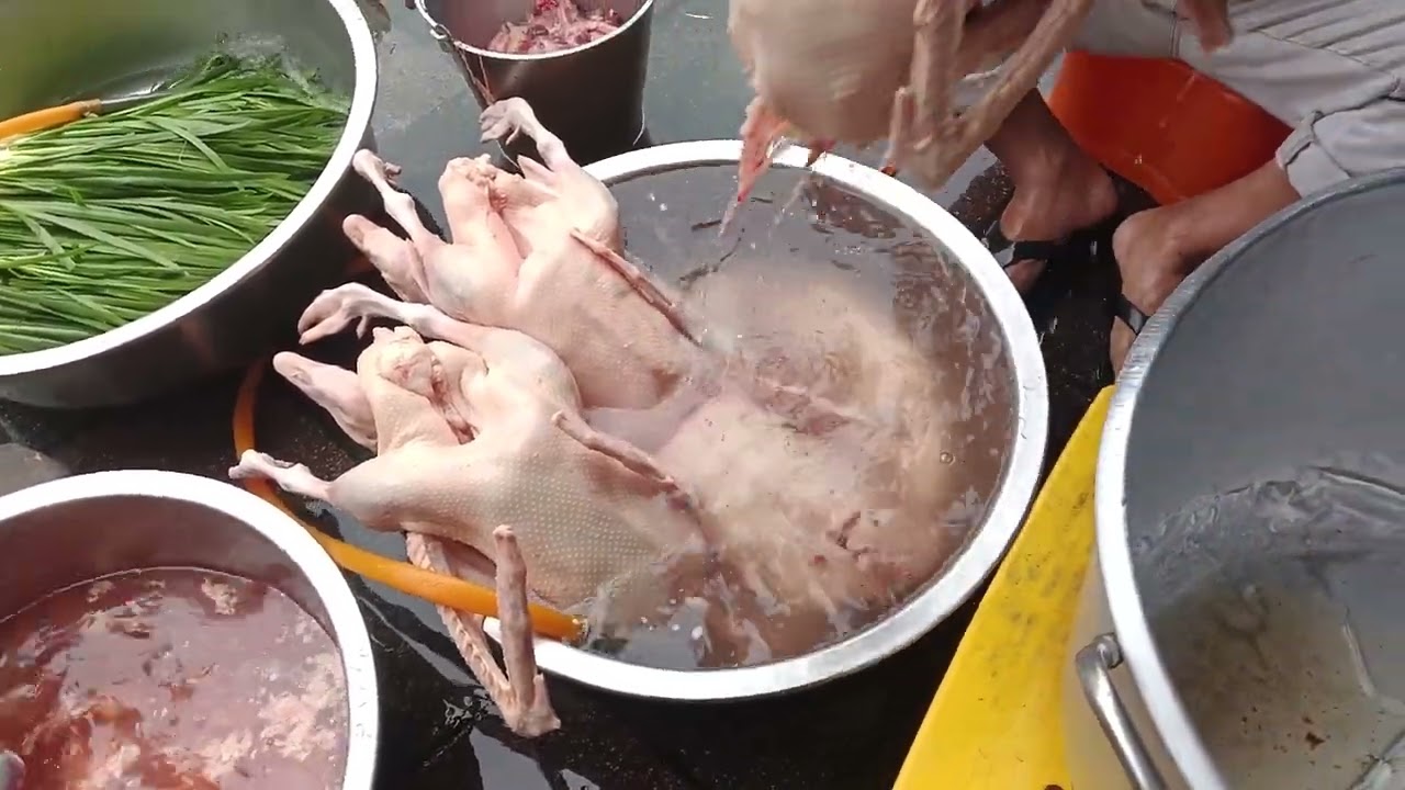 傳統鵝肉