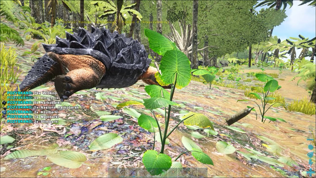 jak oswoić żółwia (carbonemysa) ARK  Survival Evolved