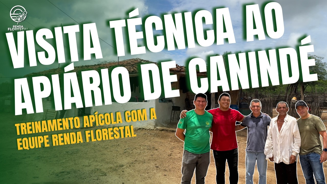Visita Técnica ao Apiário de Canindé | Treinamento Apícola com a Equipe Renda Florestal
