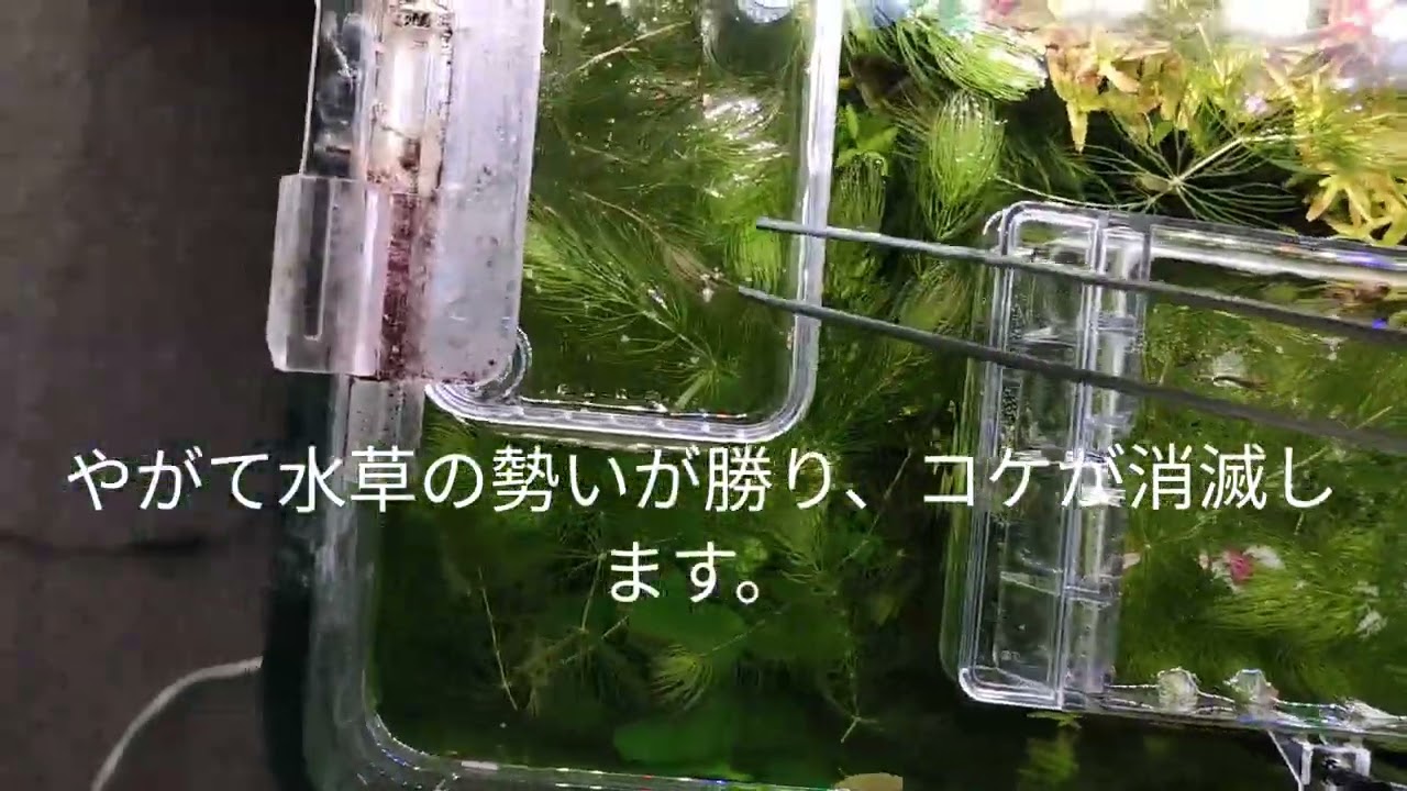 マツモメソッドまとめ