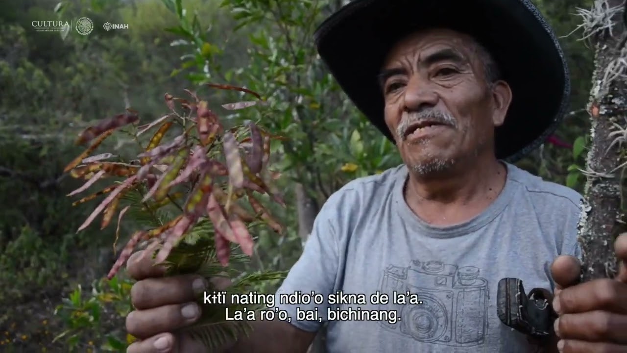 Kub bach Gieeguish (Tejate con tepache de San Mateo Macuilxóchitl, Oaxaca)