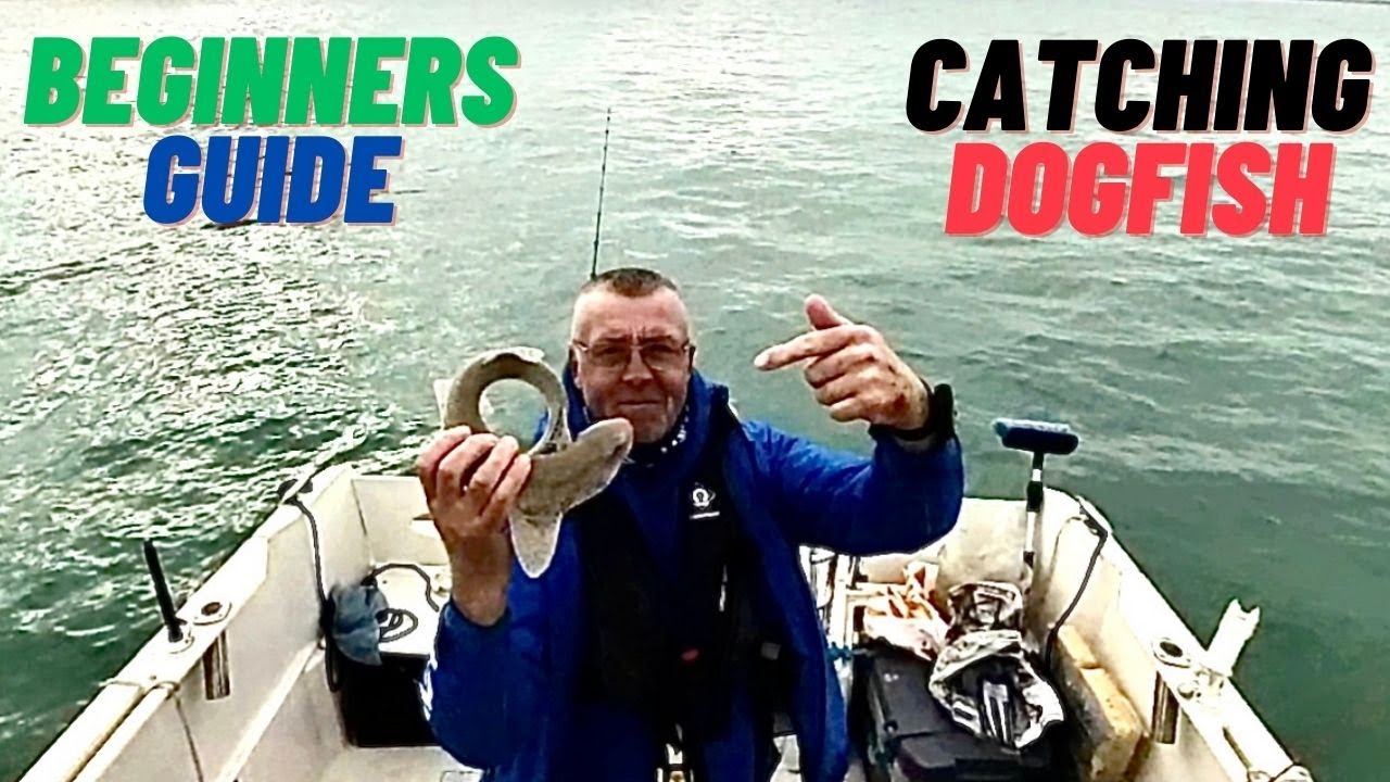 Unlocking the Secret to Catching Dogfish - UK Boat Fishing Revealed!