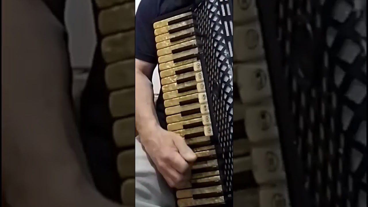 VIDA DE GA&Uacute;CHO - Os Bertussi