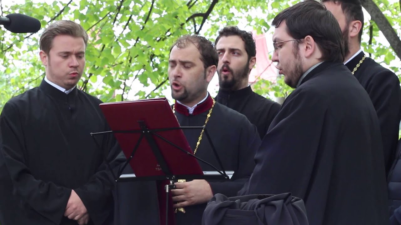 Îngerul a strigat - Mihail Buca