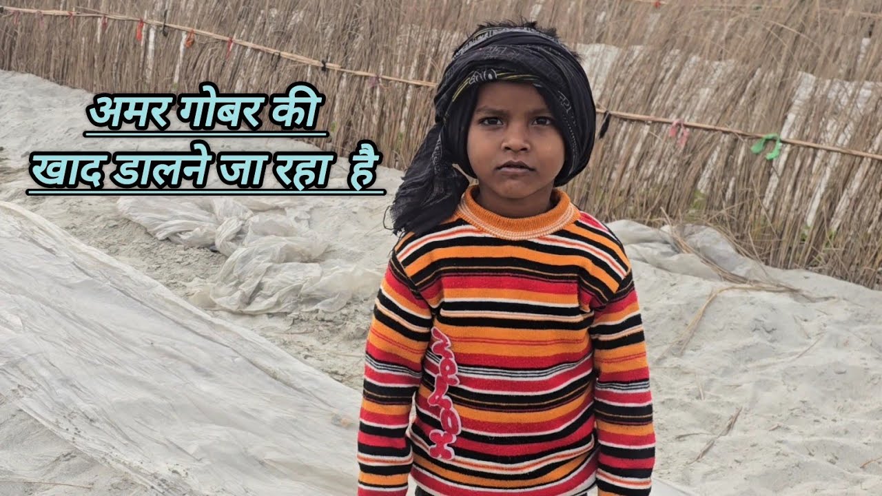 अमर गोबर की खाद डालने जा रहा  है 