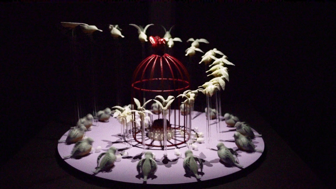 Digital  Media Art “OUTSET