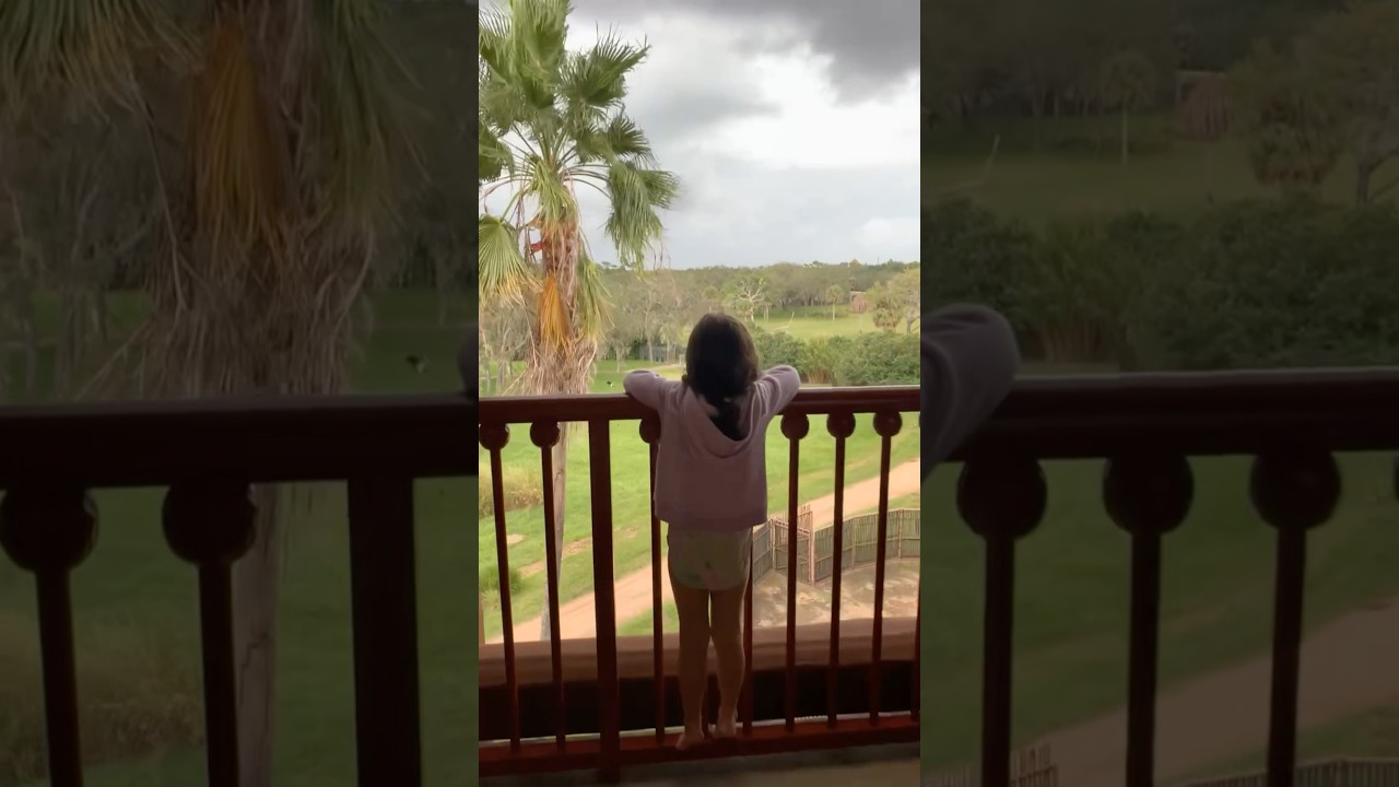 Animal Kingdom Villa - Jambo House Deluxe Studio #disney #animalkingdom #jambo