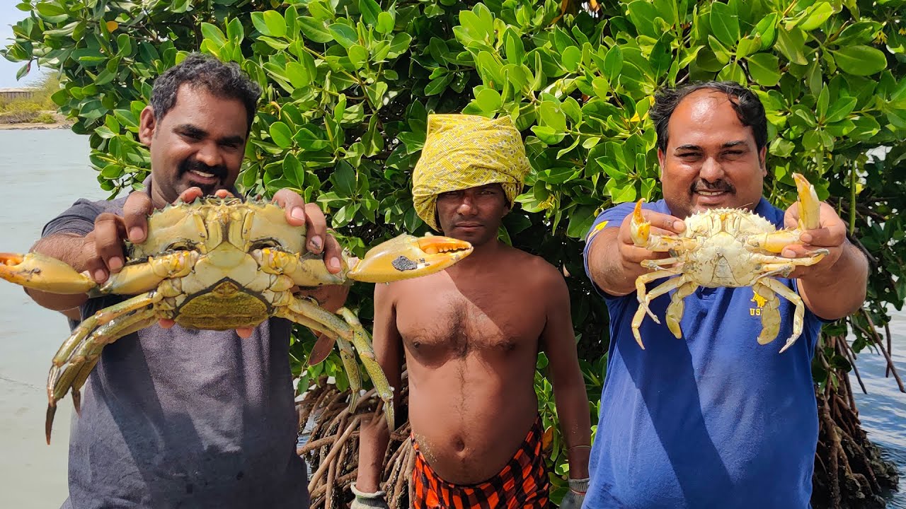 வெறும் கையால் பிடிக்கும் பெரிய நண்டு நண்டு மாமா @Muthunagarmeenavan