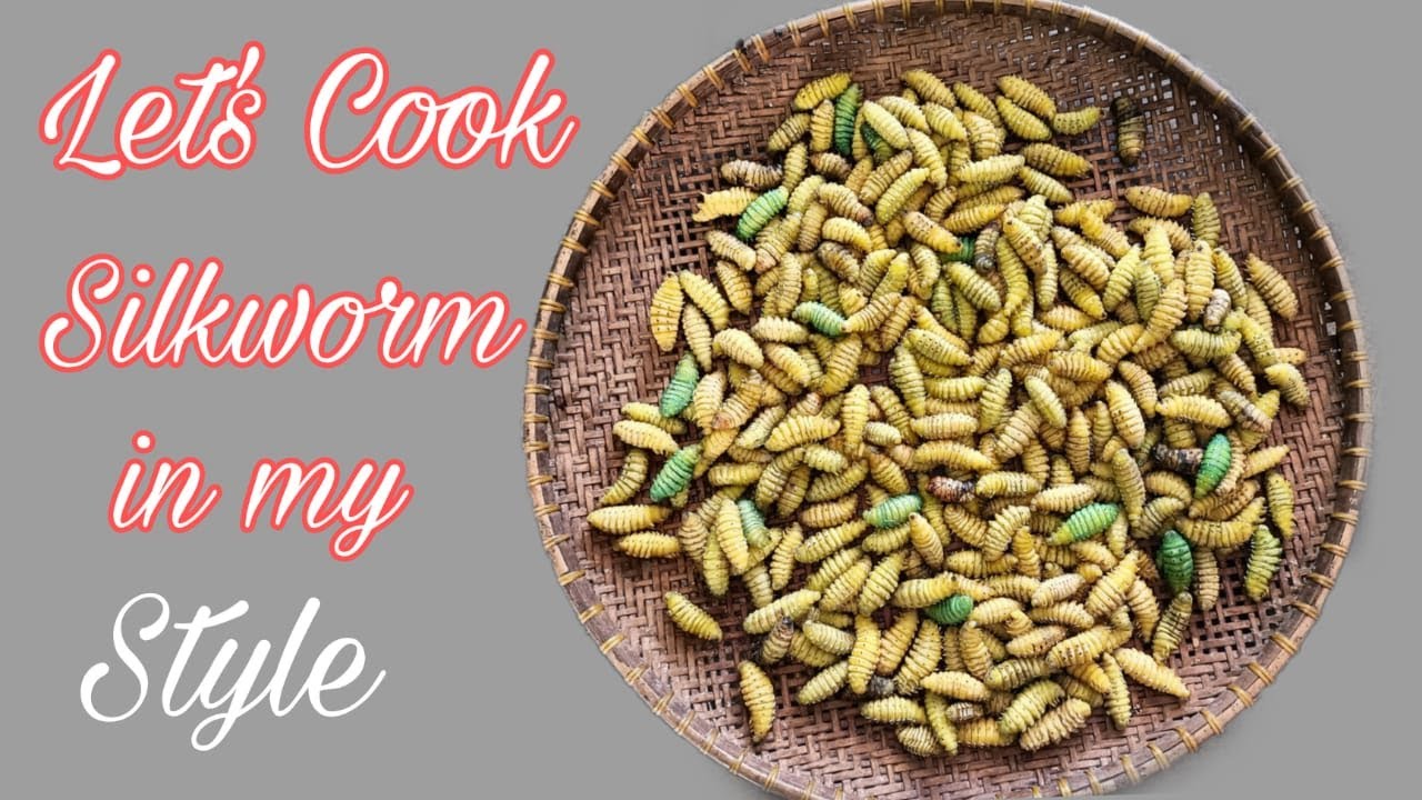 Learn how to cook silkworm || Boiled and shrink size silkworm recipe ||