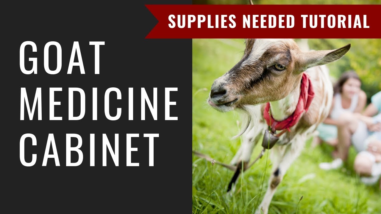 Goat Medicine Cabinet Day 5: Prepare for Goats 5-Day Challenge