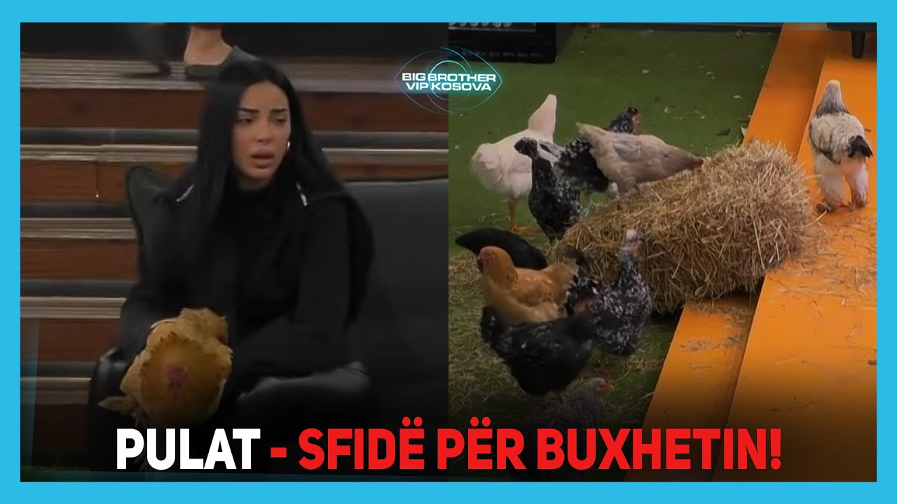 Pulat - Sfidë për buxhetin!  Banorët krijojnë momente qesharake - Big Brother VIP Kosova